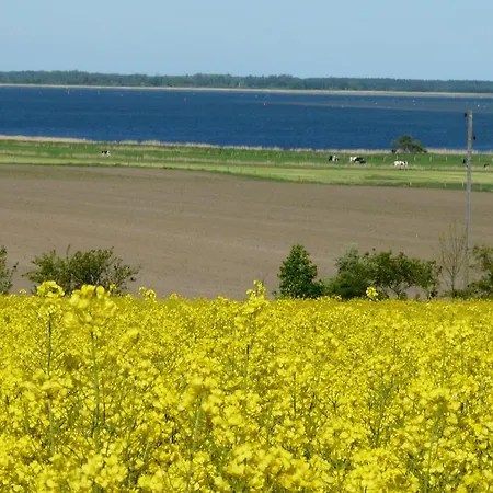 Schwalbenhof Penzion 4*