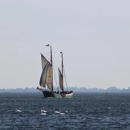 Schwalbenhof Penzion 4*