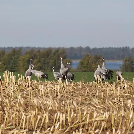 Schwalbenhof 4* Klausdorf (Vorpommern-Rugen)
