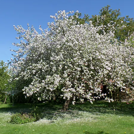 Schwalbenhof 3* Klausdorf (Vorpommern-Rugen)