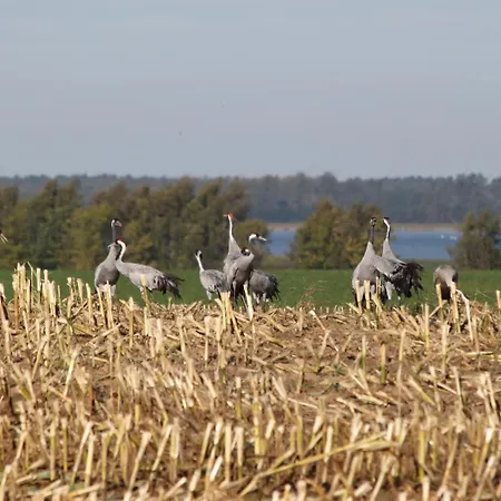 Schwalbenhof Penzion Klausdorf (Vorpommern-Rugen)