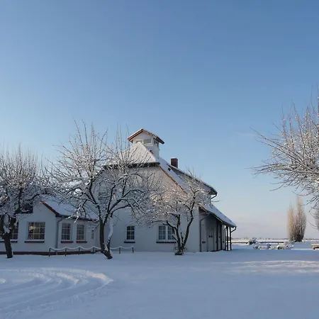 Pension Schwalbenhof Guest house 3*