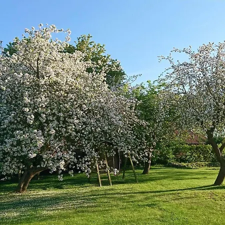 Penzion Schwalbenhof Klausdorf (Vorpommern-Rugen)