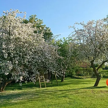 Pension Schwalbenhof